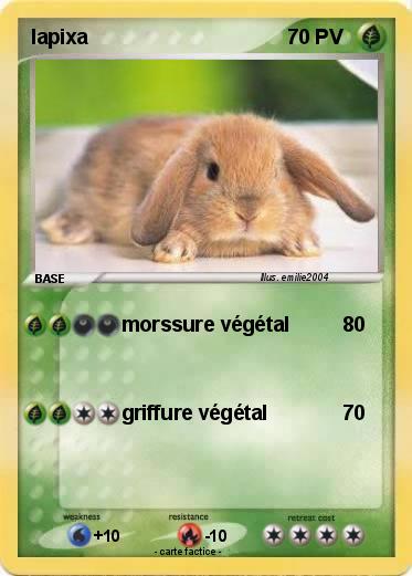 Pokemon lapixa