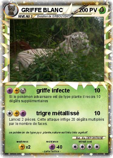 Pokemon GRIFFE BLANC