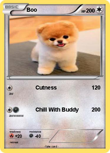 Pokemon Boo