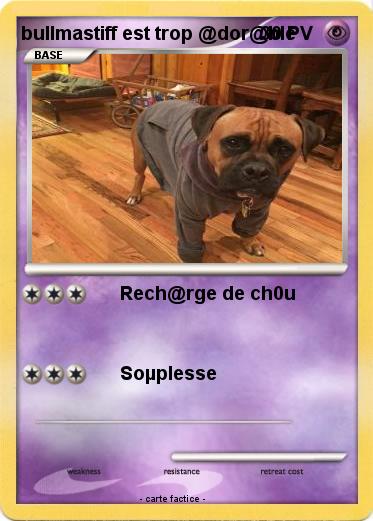 Pokemon bullmastiff est trop @dor@ble