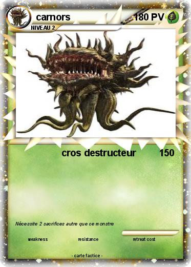 Pokemon carnors