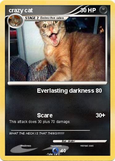 Pokemon crazy cat