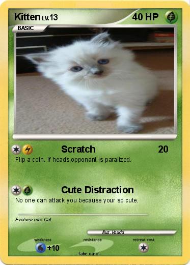 Pokemon Kitten
