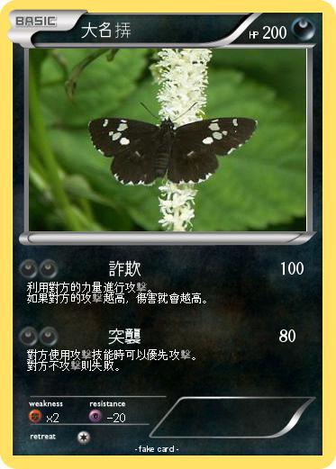 Pokemon 大名挵