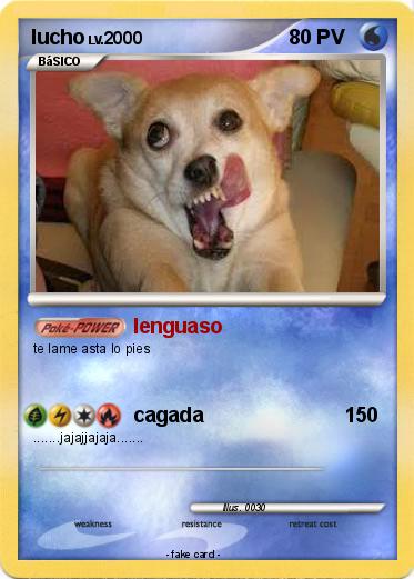 Pokemon lucho