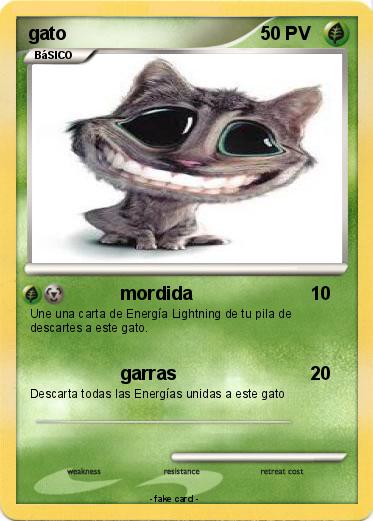 Pokemon gato