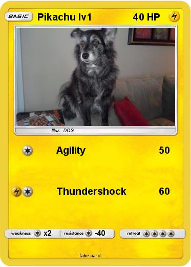 Pokemon Pikachu lv1