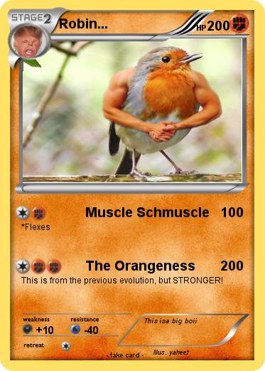 Pokemon Robin...