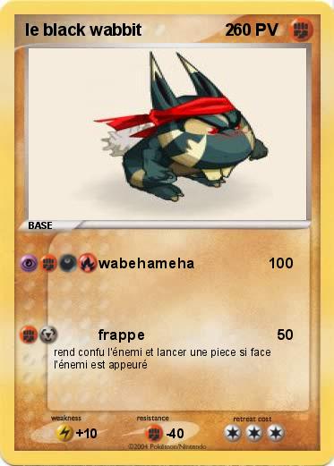 Pokemon le black wabbit                  2            