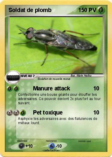 Pokemon Soldat de plomb