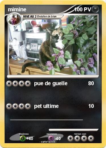 Pokemon mimine
