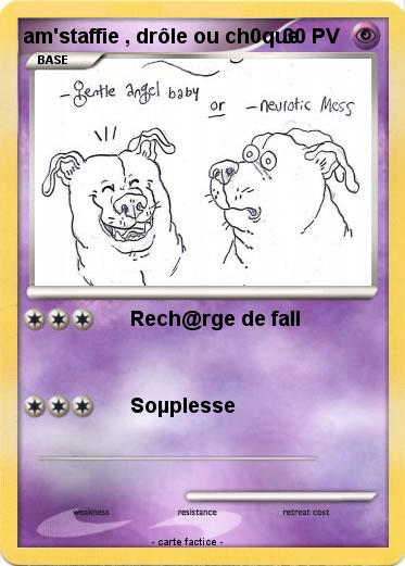 Pokemon am'staffie , drôle ou ch0que