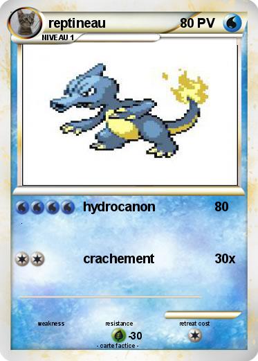 Pokemon reptineau