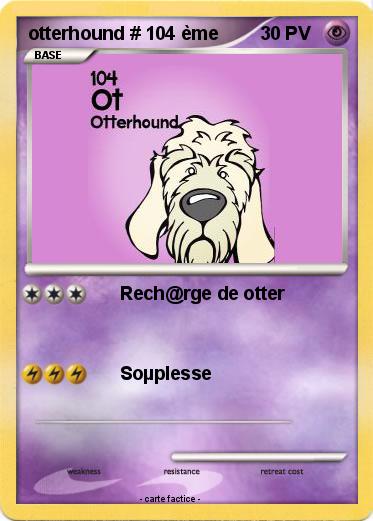 Pokemon otterhound # 104 ème