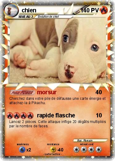 Pokemon chien