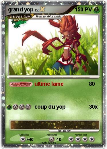 Pokemon grand yop