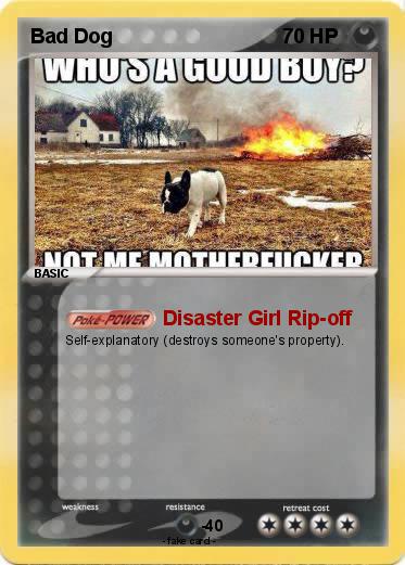 Pokemon Bad Dog
