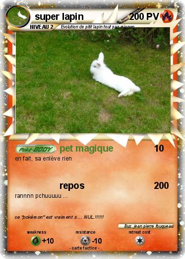 Pokemon super lapin