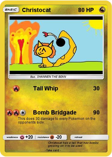 Pokemon Christocat