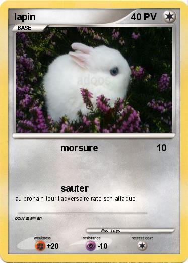 Pokemon lapin