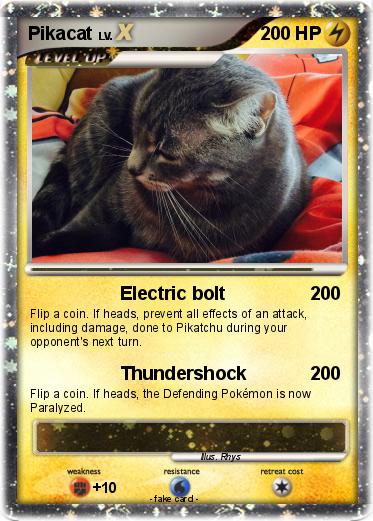Pokemon Pikacat