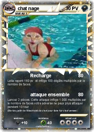 Pokemon chat nage