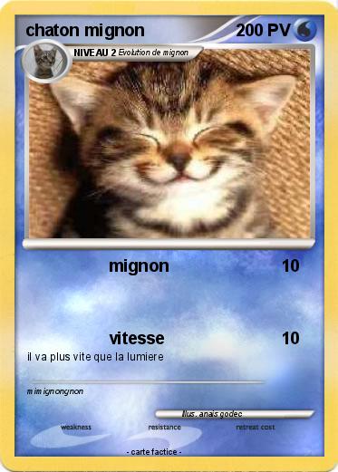 Pokemon chaton mignon