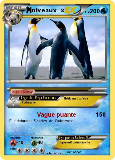 Pokemon niveaux  x