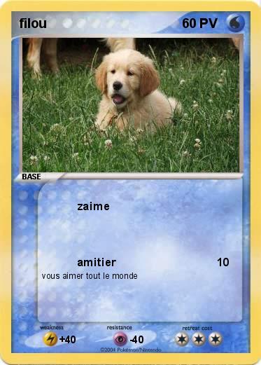 Pokemon filou
