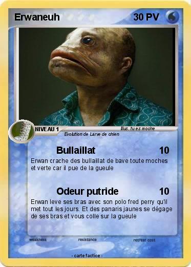 Pokemon Erwaneuh