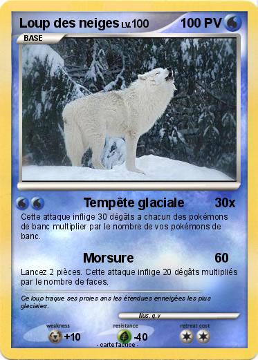 Pokemon Loup des neiges
