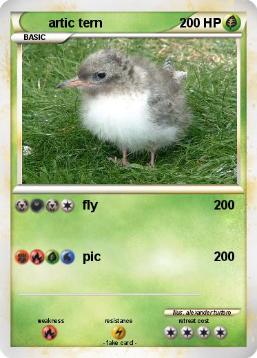 Pokemon artic tern