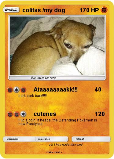 Pokemon colitas /my dog