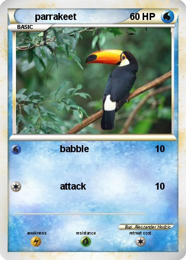 Pokemon parrakeet