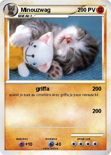 Pokemon Minouzwag