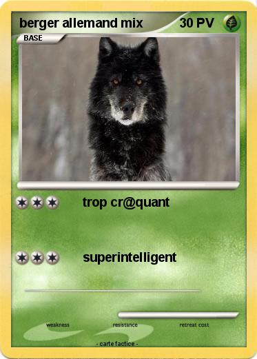 Pokemon berger allemand mix