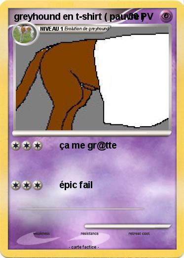 Pokemon greyhound en t-shirt ( pauvre )