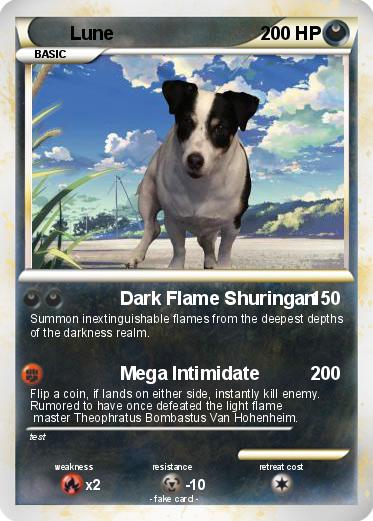 Pokemon Lune