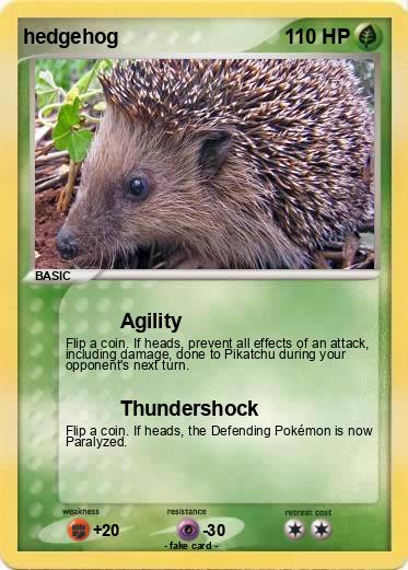 Pokemon hedgehog