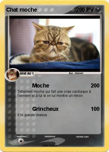 Pokemon Chat moche