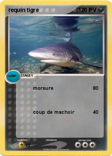 Pokemon requin tigre