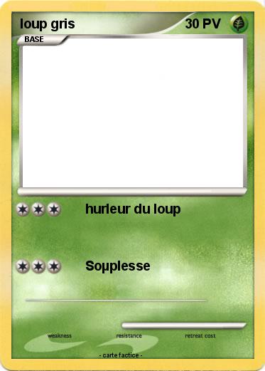 Pokemon loup gris