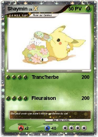 Pokemon Shaymin