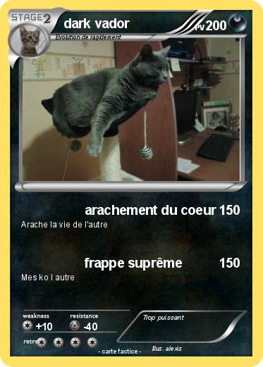 Pokemon dark vador