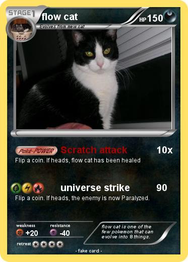 Pokemon flow cat