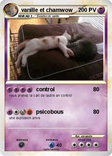 Pokemon vanille et chamwow