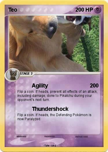 Pokemon Teo