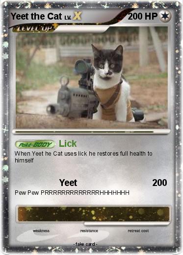 Pokemon Yeet the Cat
