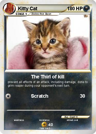 Pokemon Kitty Cat