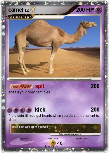 Pokemon camel